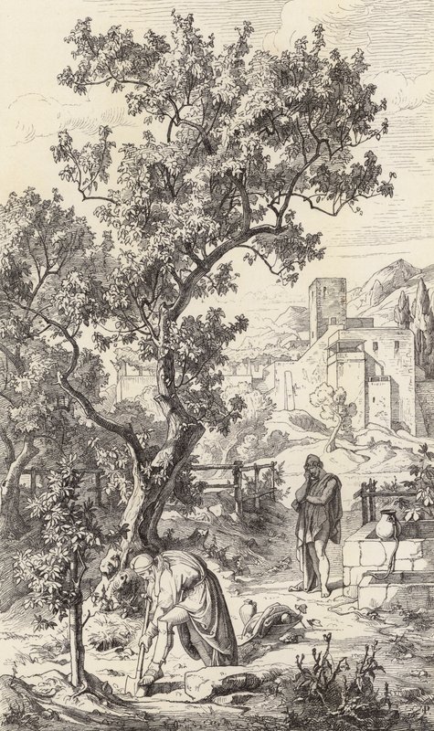 Odüsszeusz meglátogatja apját, Laertest (metszet) alkotó: Friedrich the Elder Preller