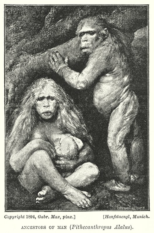 Az ember ősei, Pithecanthropus Alalus (litho) alkotó: Gabriel Max