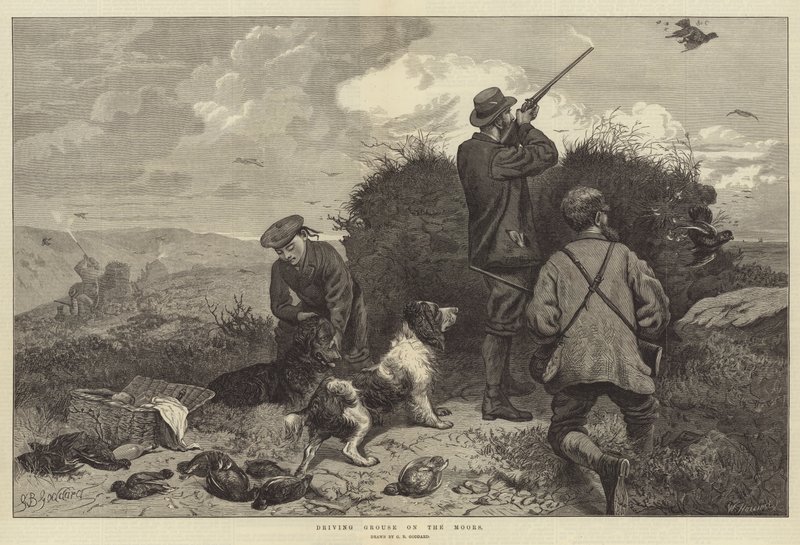 A Grouse vezetése a móron alkotó: George Bouverie Goddard