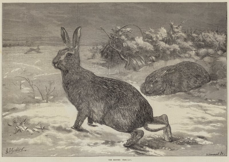 A hónapok, február alkotó: George Bouverie Goddard