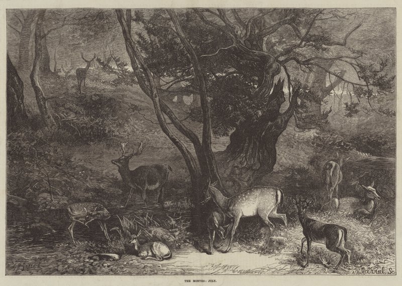 A hónapok, július alkotó: George Bouverie Goddard