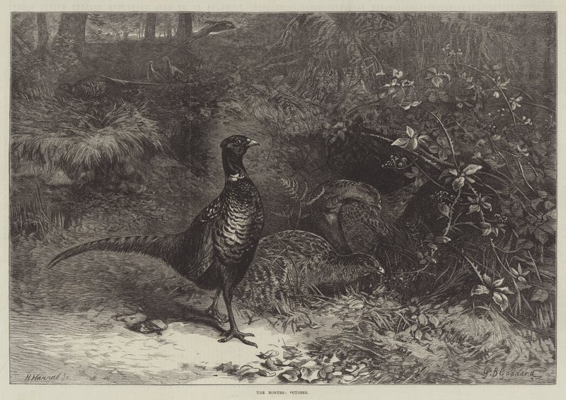 A hónapok, október alkotó: George Bouverie Goddard