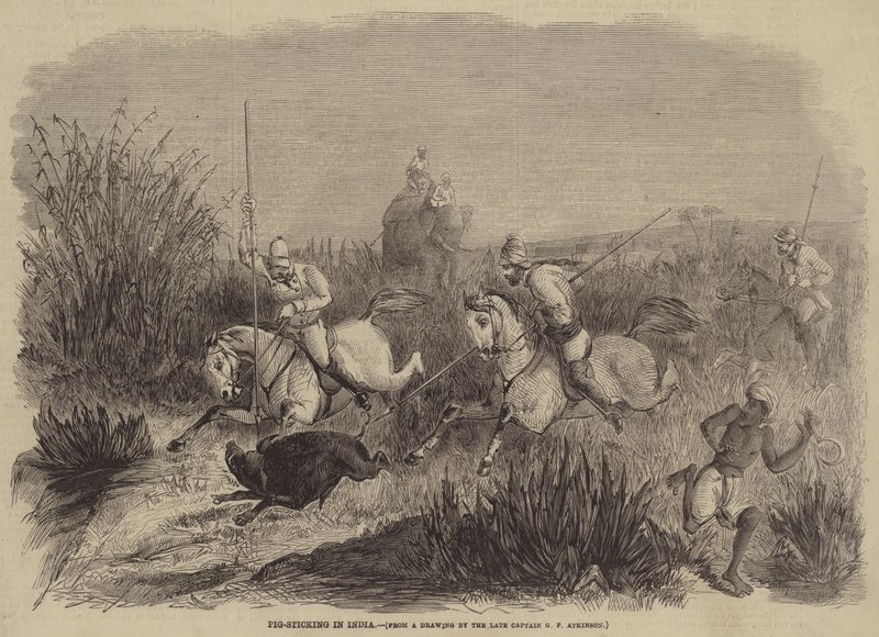 Disznótartás Indiában alkotó: George Francklin Atkinson