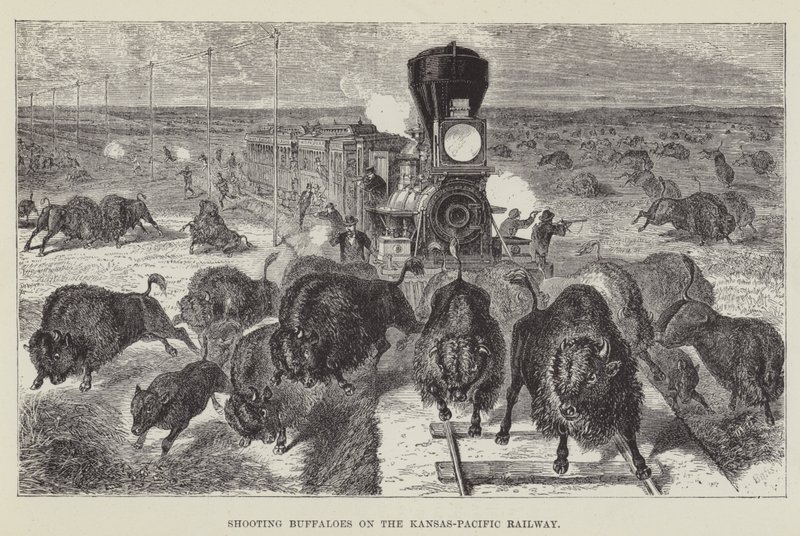 Bivalyok lövöldözése a Kansas-Pacific Railway-n alkotó: George Augustus Sala