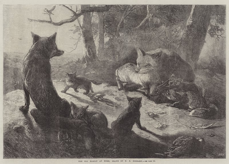 A Róka család otthon alkotó: George Bouverie Goddard