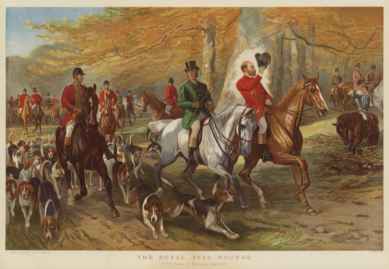 The Royal Stag Hounds, HRH Prince of Wales és Lord Cork alkotó: George Bouverie Goddard
