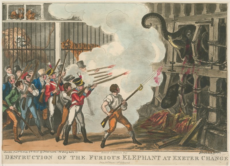 A dühöngő elefánt elpusztítása Exeter Change-ben, 1826 alkotó: George Cruikshank