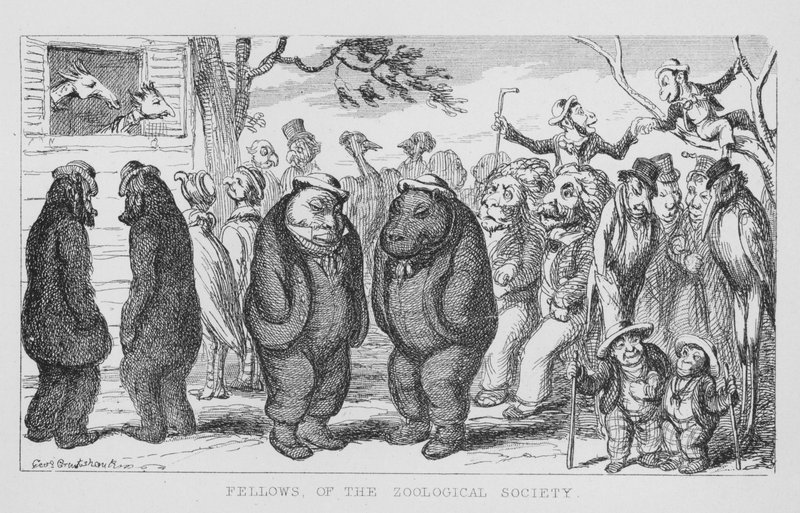 Az Állattani Társaság munkatársai (metszet) alkotó: George Cruikshank