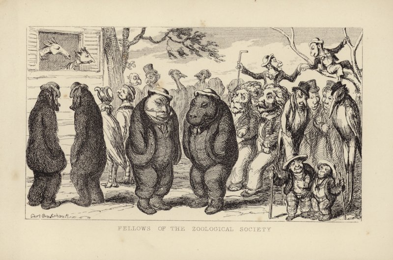 Az Állattani Társaság tagjai alkotó: George Cruikshank