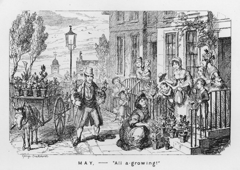 Május, egyre növekvő (metszet) alkotó: George Cruikshank