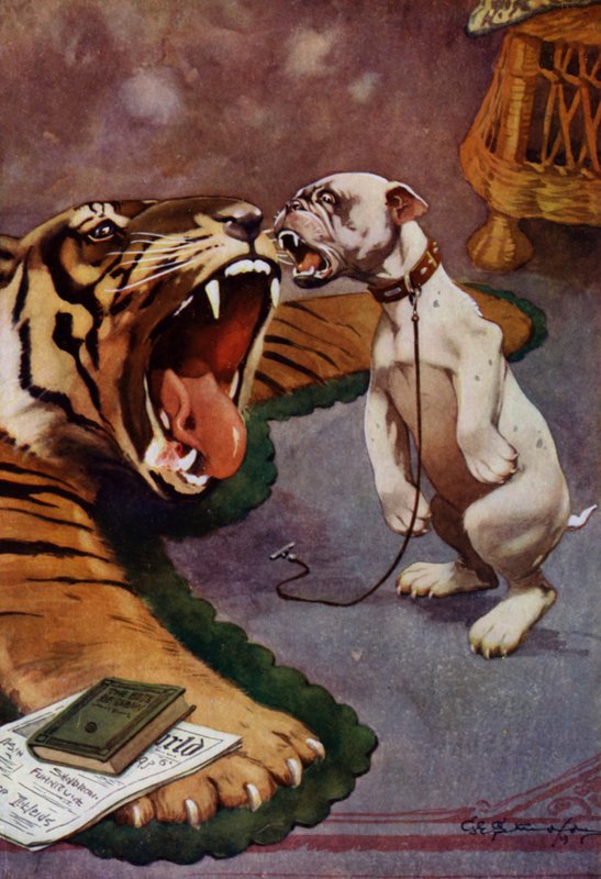 Tigris, tigris - kutyaugatás a tigrisszőnyegre (színes litho) alkotó: George Ernest (after) Studdy