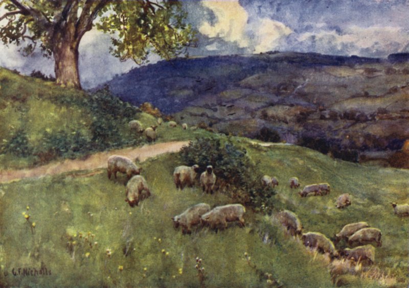 Egy cotswoldi juh-legelő alkotó: George Franck Nicholls