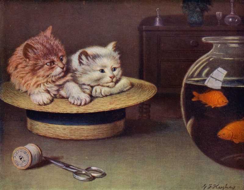 Nézés (színes litó) alkotó: George H. Hughes
