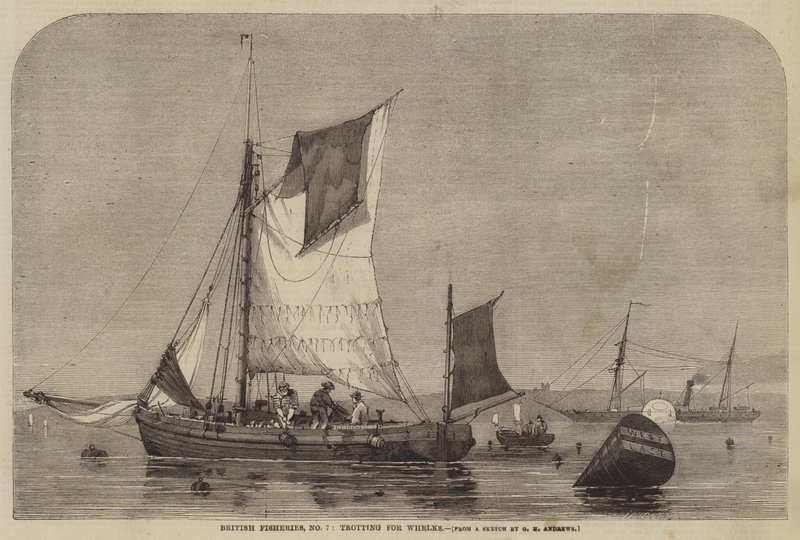 British Fisheries, No 7, Whelks ügető alkotó: George Henry Andrews