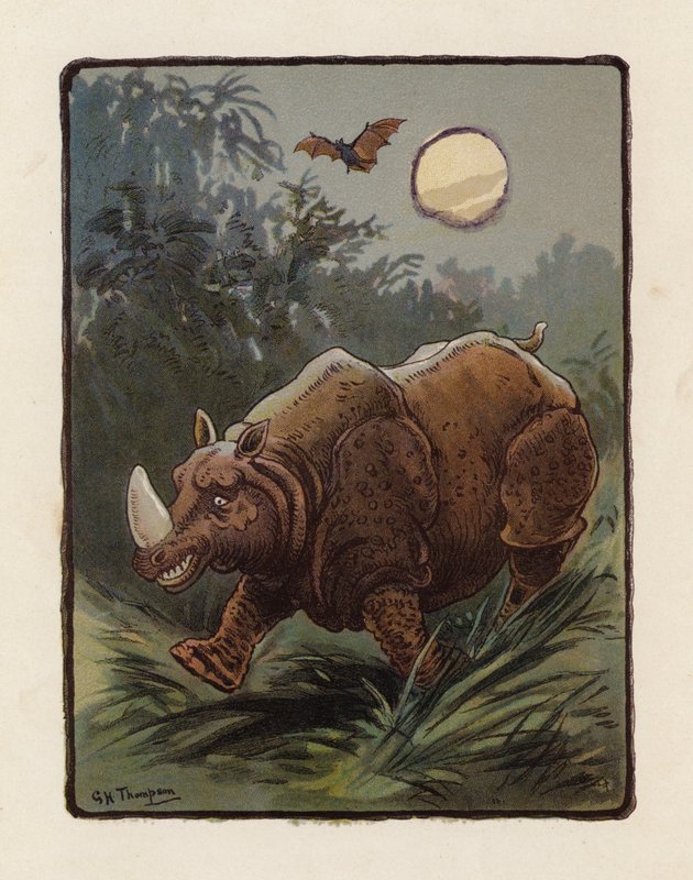 Rinocérosz (színes litográfia) alkotó: George Henry Thompson