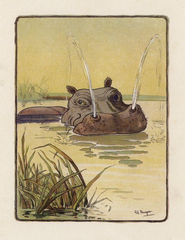 A víziló (színes litográfia) alkotó: George Henry Thompson