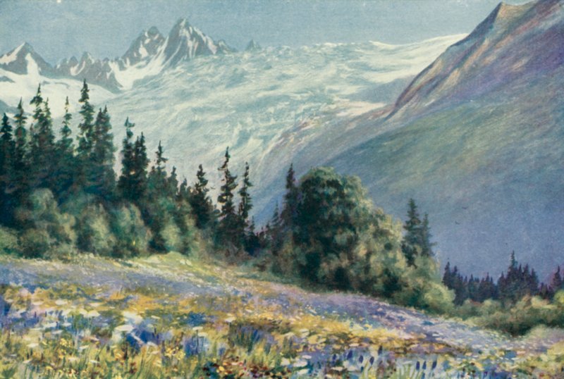 Campanula és más júliusi virágok a Col Des Montets-on (színes litó) alkotó: George Jackson Flemwell