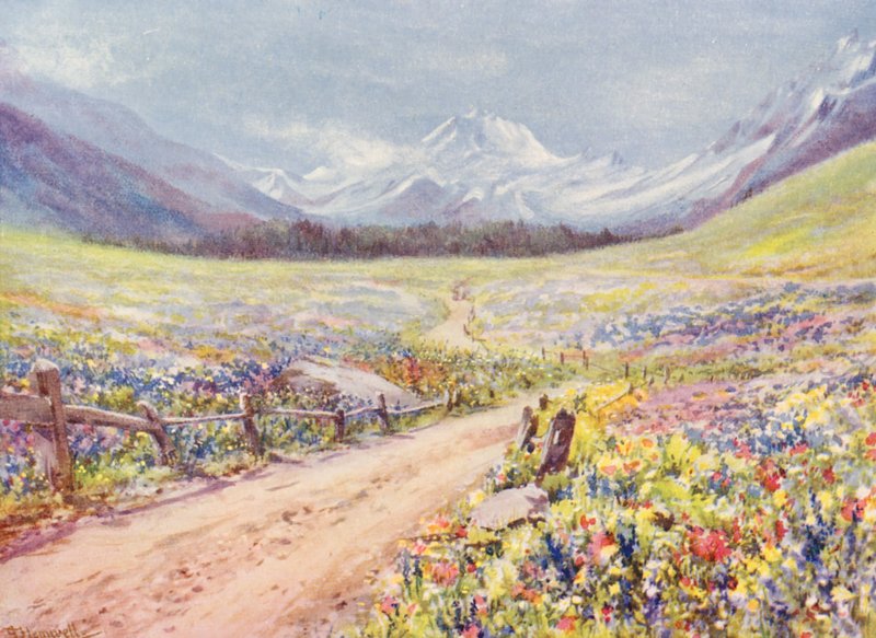 Júniusi Salvia, Lychnis stb. rétek a Val Ferret völgyben, közvetlenül Praz de Fort falu előtt (színes litho) alkotó: George Jackson Flemwell