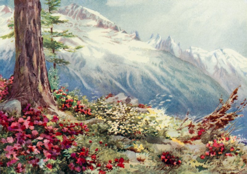 Mont Blanc és az Aiguille Du Midi, felülről nézve Argentiere (színes litó) alkotó: George Jackson Flemwell