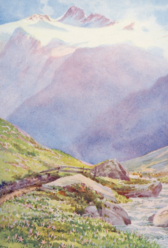 Őszi krókusz a Trient falu melletti mezőkön, háttérben az Aiguille du Tour, szeptember (színes lithó) alkotó: George Jackson Flemwell
