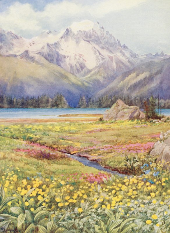 Champex felső mezői június elején, a Grand Combin a távolban (színes litográfia) alkotó: George Jackson Flemwell