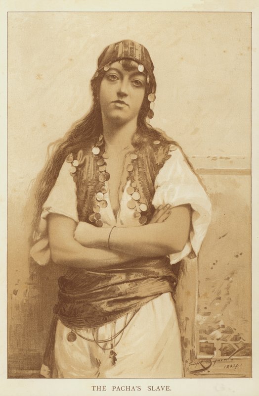 A Pacha rabszolgája alkotó: George L. Seymour