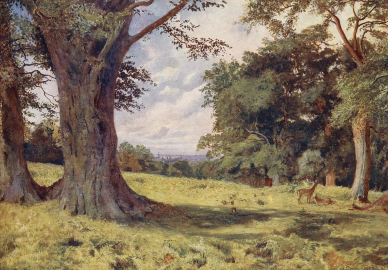 A Glade in Windsor Great Park (színes litográfia) alkotó: George Moore Henton