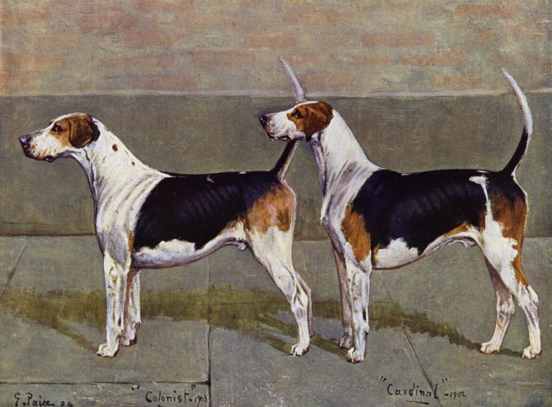 A Puckeridge Foxhounds gyarmatosító és bíboros alkotó: George Paice