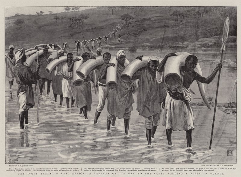 Az elefántcsont-kereskedelem Kelet-Afrikában, egy karaván a part felé haladva egy folyóba gázol Ugandában alkotó: George Percy Jacomb Hood