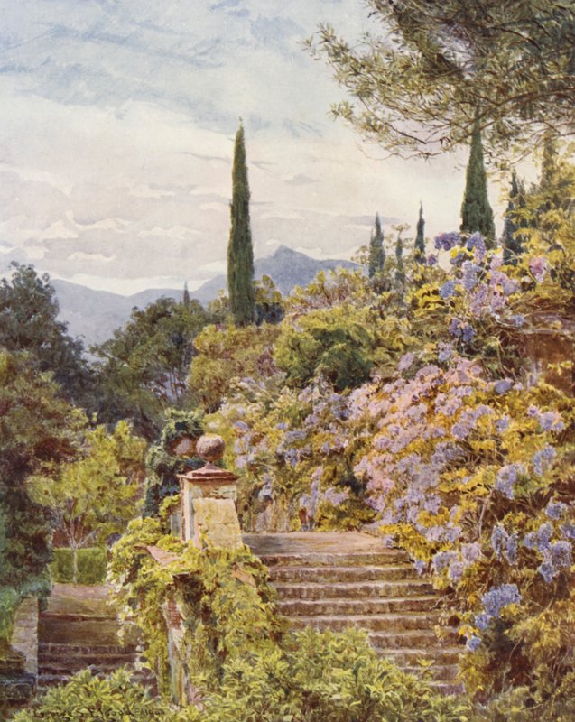 Olasz kertek: Wistaria, Villa Cavagnaro (színes litográfia) alkotó: George Samuel Elgood