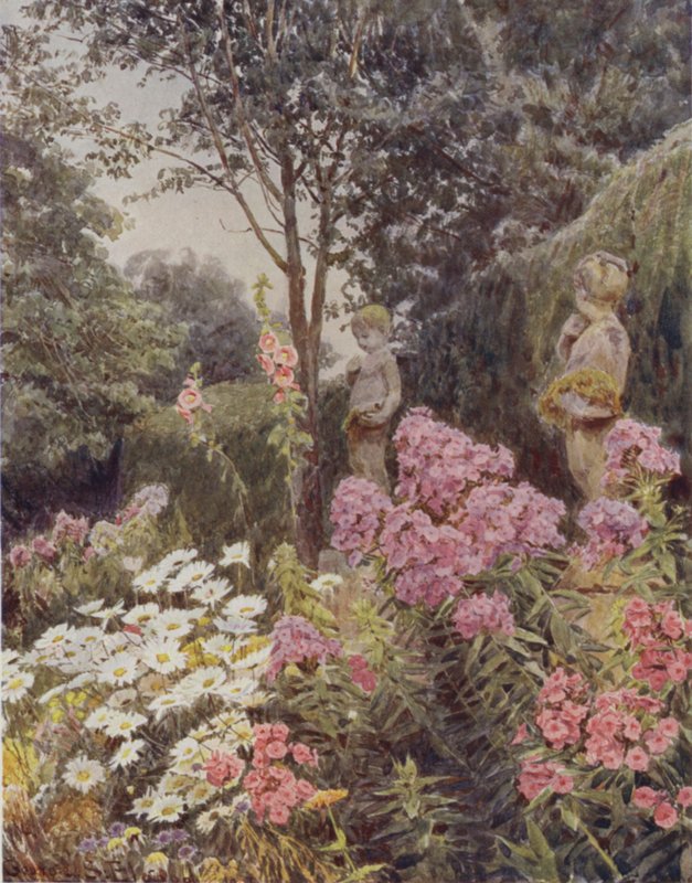 Phlox és Daisy alkotó: George Samuel Elgood