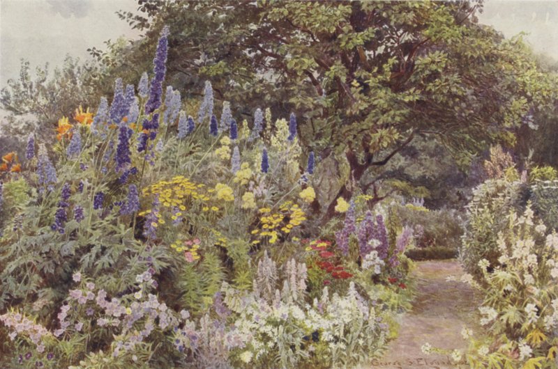 Ramscliffe, Larkspur alkotó: George Samuel Elgood