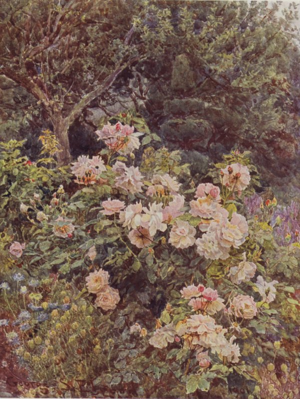 Folkestone vikomtné alkotó: George Samuel Elgood