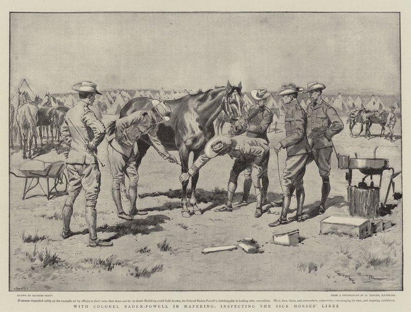 Baden-Powell ezredessel Mafekingben, a beteg lovak vonalainak ellenőrzésénél. alkotó: Georges Bertin Scott