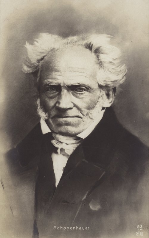 Arthur Schopenhauer (1788-1860), német filozófus (fekete-fehér fotó) alkotó: German Photographer