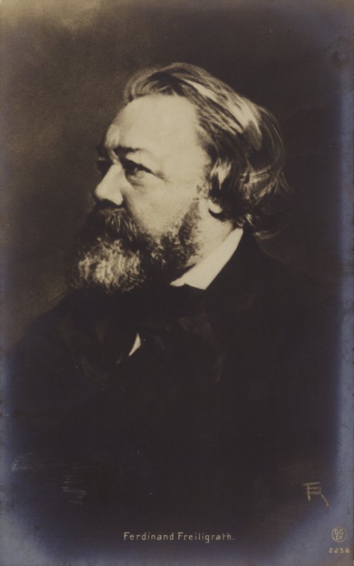 Ferdinand Freiligrath (1810-1876), német költő (fekete-fehér fotó) alkotó: German Photographer
