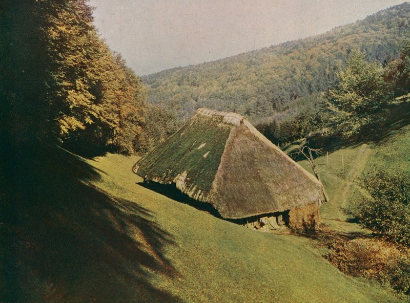 Hagyományos fekete-erdei parasztház, Wildtal, Németország (színes fénykép) alkotó: German Photographer