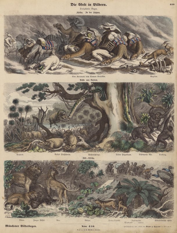 Afrika: homokviharba került karaván a Szaharában; Guinea partjai; Dél-Afrika (színes metszet) alkotó: German School
