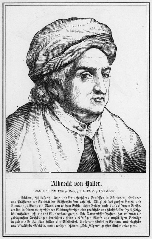 Albrecht von Haller (metszet) alkotó: German School
