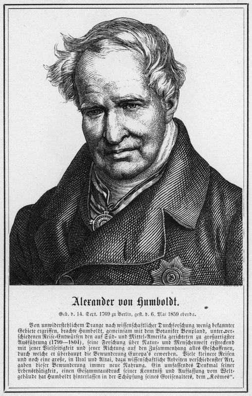Alexander von Humboldt (metszet) alkotó: German School