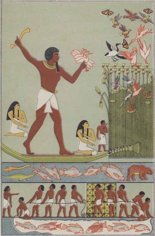 Az ókori egyiptomiak madarakra halásznak és vadásznak (színes litho) alkotó: German School