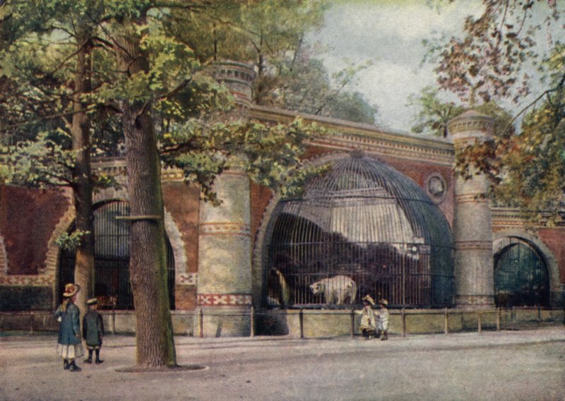 Medvekert, Berlini Állatkert, Németország (színes litó) alkotó: German School