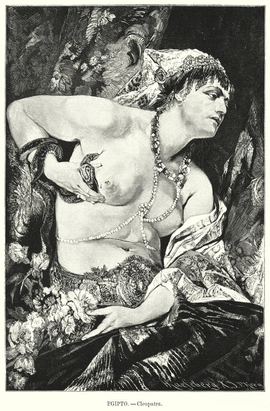 Kleopátra és a áspis, ókori Egyiptom (litho) alkotó: German School