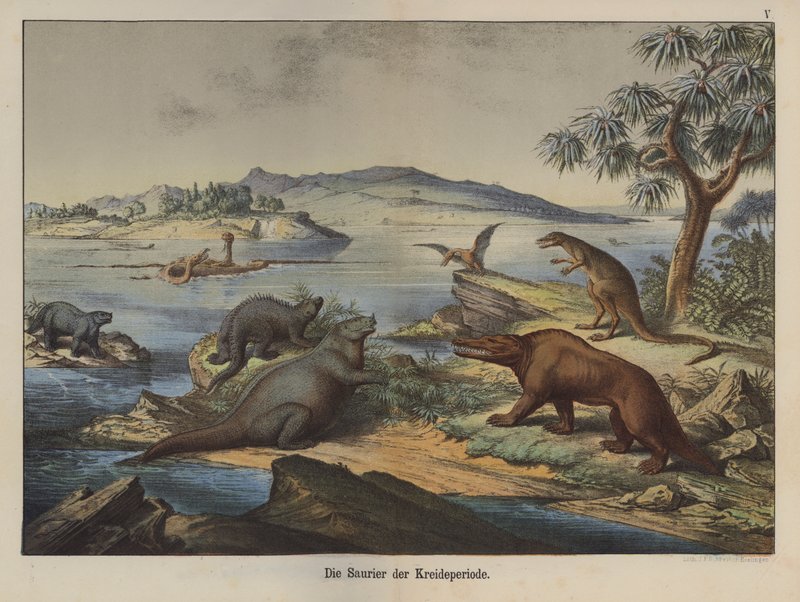 A kréta kor dinoszauruszok (színes litho) alkotó: German School
