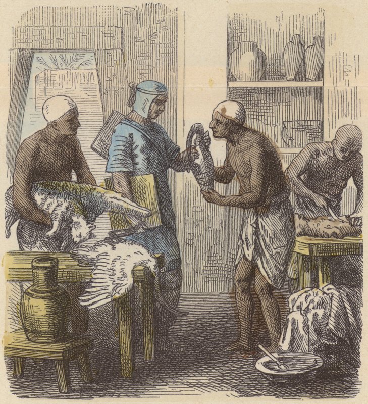 Állatok balzsamozása az ókori Egyiptomban (színes metszet) alkotó: German School
