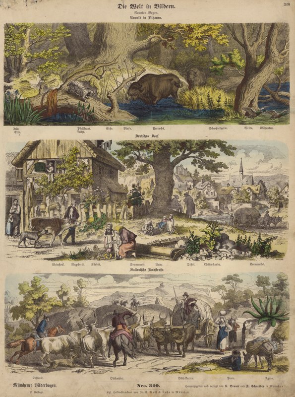 Európa: erdő Litvániában; német falu; Olasz országút (színes metszet) alkotó: German School
