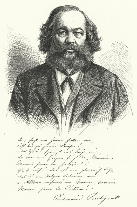 Ferdinand Freiligrath német költő, műfordító és liberális politikai agitátor (metszet) alkotó: German School