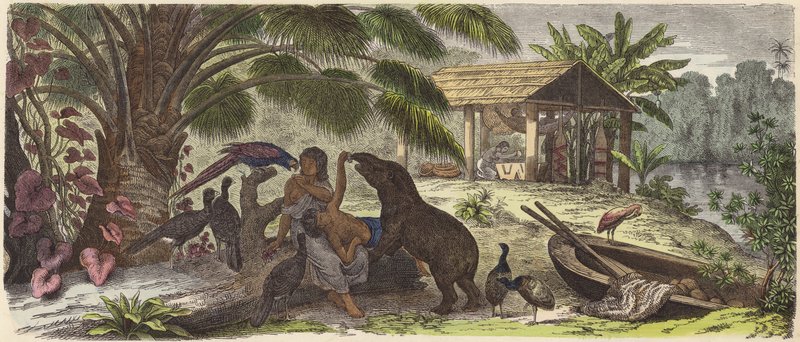 Indiai ház az Orinoco folyón (színes metszet) alkotó: German School