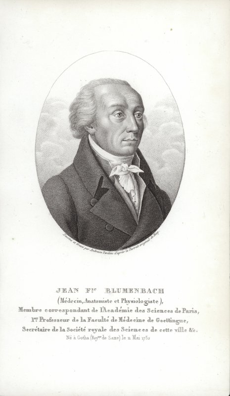 Johann Friedrich Blumenbach alkotó: German School