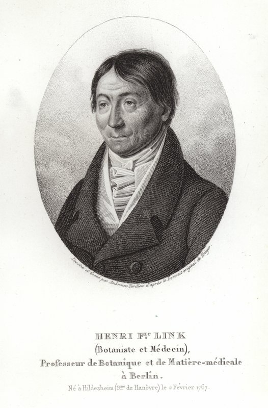Johann Heinrich Friedrich Link alkotó: German School